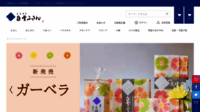 What Shirayuki-nara.jp website looks like in 2024 