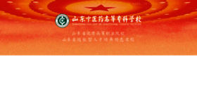 What Stcmchina.com website looks like in 2024 