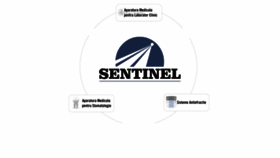 What Sentinels.ro website looks like in 2024 