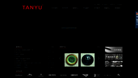 What Sztanyu.com website looks like in 2024 