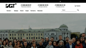 What Sagt.ru website looks like in 2024 