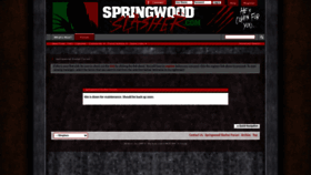 What Springwoodslasher.com website looks like in 2024 