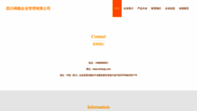 What Schangu.com website looks like in 2024 