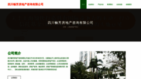 What Schangfang.com website looks like in 2024 