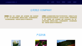 What Sdlingchi.com website looks like in 2024 