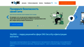 What Skydns.ru website looks like in 2024 
