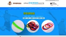 What Shunli8.com website looks like in 2024 