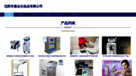What Syanle.cn website looks like in 2024 