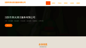 What Syaafpm.cn website looks like in 2024 