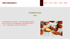 What Syjjryu.cn website looks like in 2024 