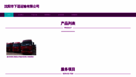 What Syusz.cn website looks like in 2024 