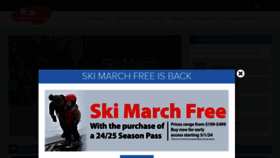 What Skibutternut.com website looks like in 2024 