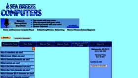 What Seabreezecomputers.com website looks like in 2024 