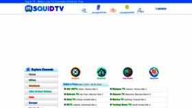 What Squidtv.net website looks like in 2024 