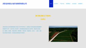 What Siteyi.cn website looks like in 2024 