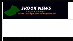 What Skooknews.com website looks like in 2024 