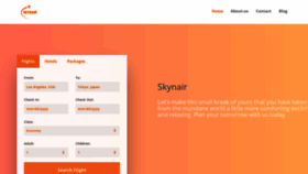 What Skynair.com website looks like in 2024 