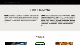 What Scjiangji.com website looks like in 2024 