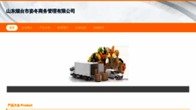 What Sdzidong.com website looks like in 2024 