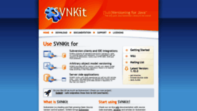What Svnkit.com website looks like in 2024 