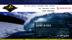 What Surfnsea.com website looks like in 2024 