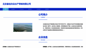What Sjzmixtc.com website looks like in 2024 