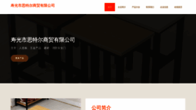 What Seaaster.cn website looks like in 2024 