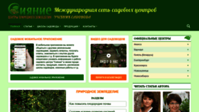 What Sianie1.ru website looks like in 2024 