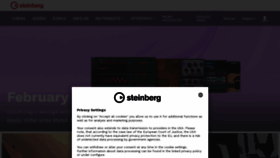 What Steinberg.net website looks like in 2024 