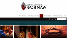 What Saginaw.org website looked like in 2024 (2 years ago)