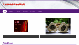 What Sdguxin.com website looks like in 2024 