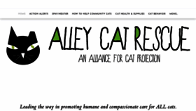 What Saveacat.org website looks like in 2024 