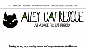 What Saveacat.org website looked like in 2024 (2 years ago)