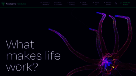 What Stowers.org website looked like in 2024 (1 year ago)