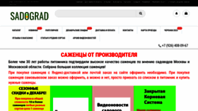 What Sadograd.ru website looks like in 2024 