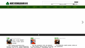 What Shszy.com.cn website looks like in 2024 