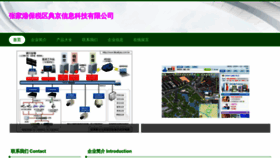 What Skydianjing.com website looks like in 2024 