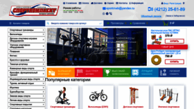 What Sport-komplekt.ru website looks like in 2024 