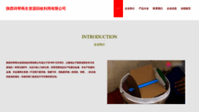What Shibanghuishou.com website looks like in 2024 