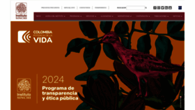 What Sinchi.org.co website looks like in 2024 
