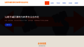 What Swmun2020.cn website looks like in 2024 