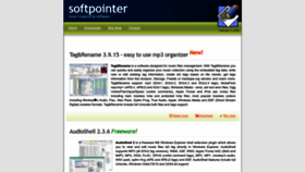 What Softpointer.com website looks like in 2024 
