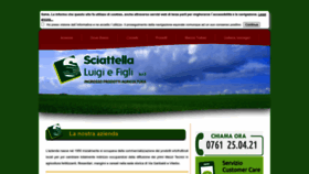 What Sciattella.net website looks like in 2024 