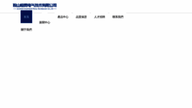 What Szshijie.cn website looks like in 2024 