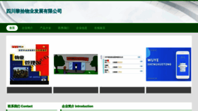 What Saiheyi.cn website looks like in 2024 