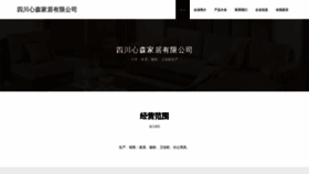 What Scxinsen.cn website looks like in 2024 