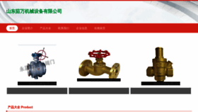 What Sdruwan.cn website looks like in 2024 