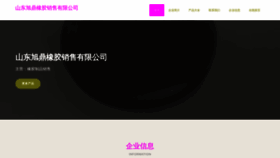 What Sdxuding.cn website looks like in 2024 