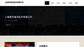 What Shebaozhangshangtong.cn website looks like in 2024 