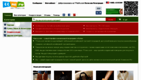 What Ttnaru.com website looked like in 2012 (11 years ago)